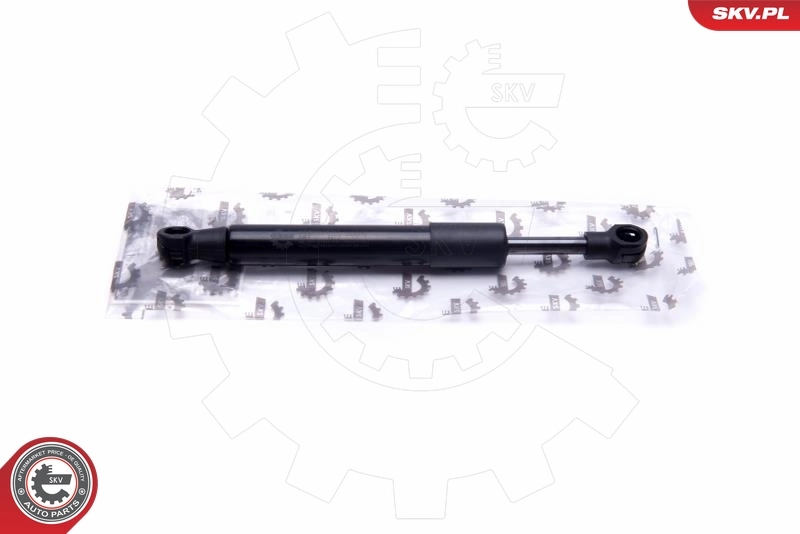 Gas Spring, boot/cargo area